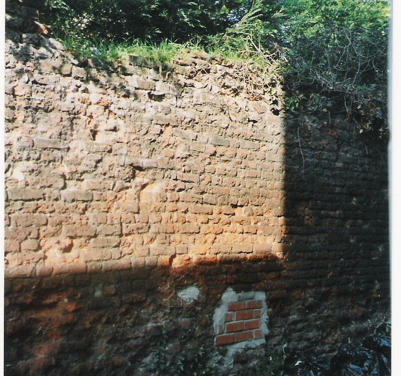 Clifden Road Wall
