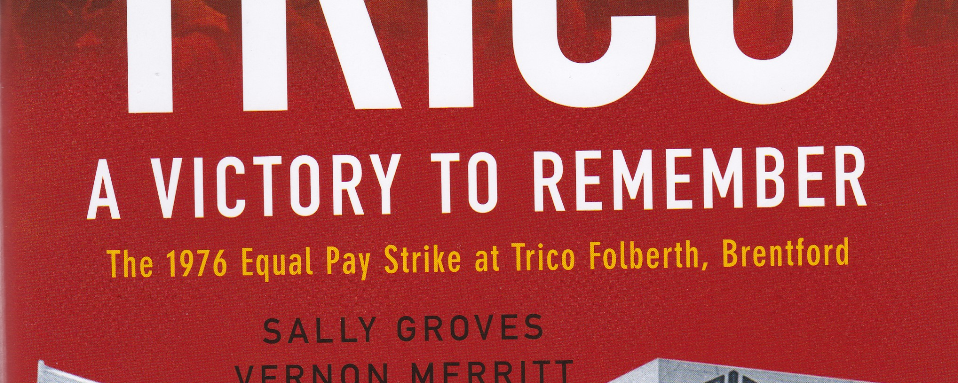 Trico: A Victory to Remember - book front cover
